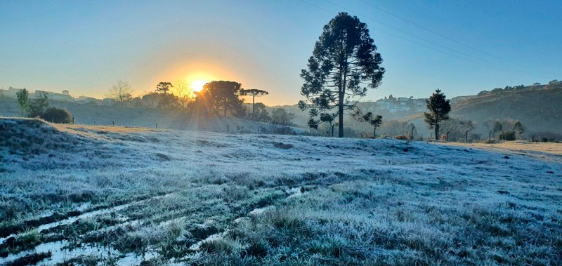 SP registra dia mais frio dos últimos 3 anos com temperatura de 6,5ºC, diz Inmet